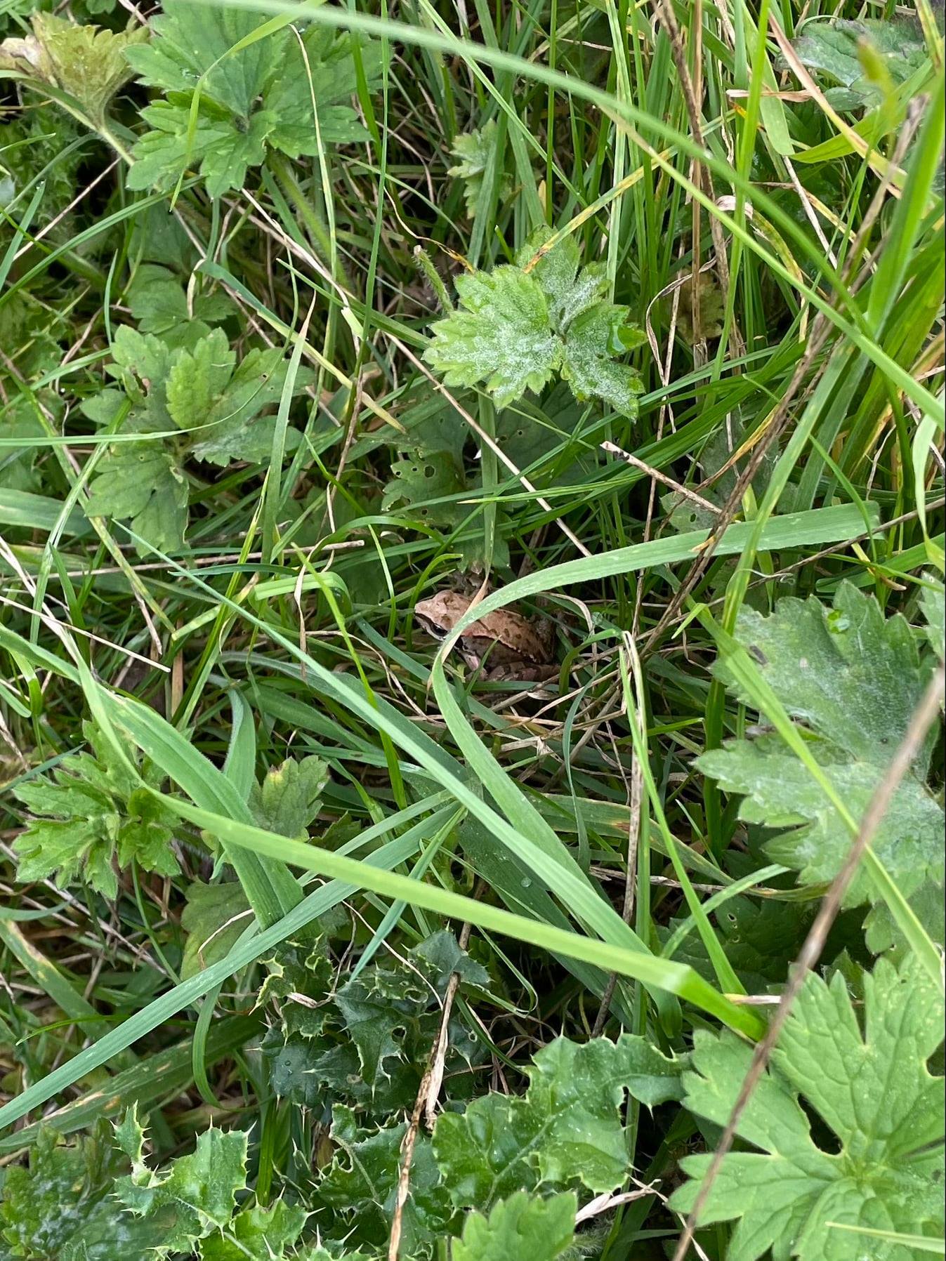 244681387_119189187171437_2078292422723086367_n