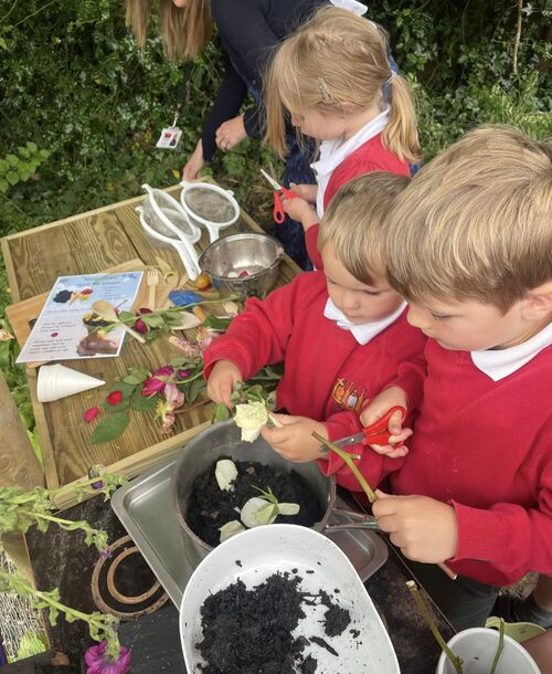 358134193_298022696078374_6291101505879424251_n